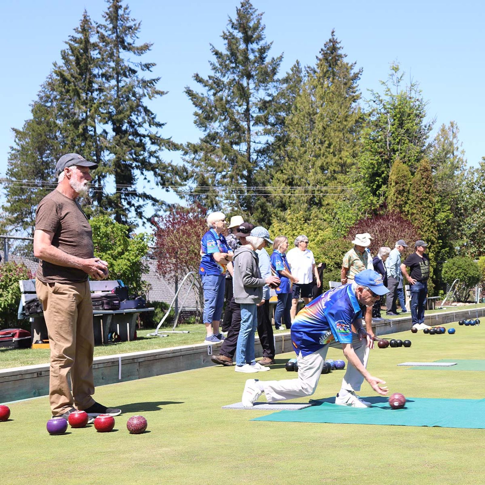 Qualicum Beach Lawn Bowling players